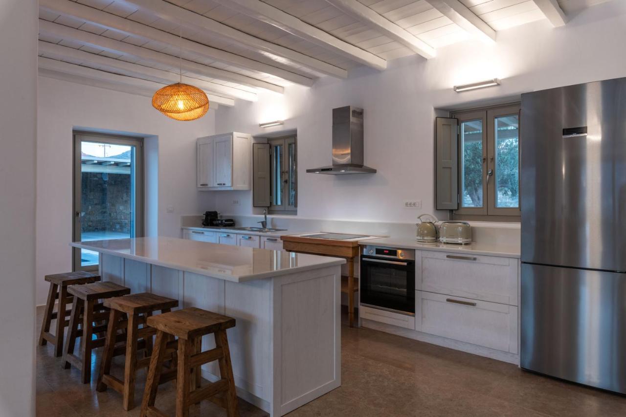 Mykonos Ag Villas In Ftelia Beach Exteriér fotografie